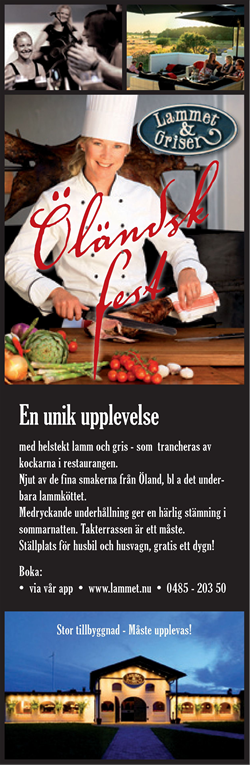 Advertisement