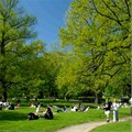 Slottsskogen