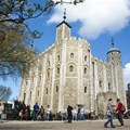 Towern