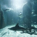 SEA LIFE London Aquarium