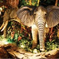 Rainforest Cafe