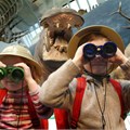 Naturhistoriska museet