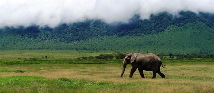 Afrika