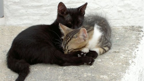 Sleeping