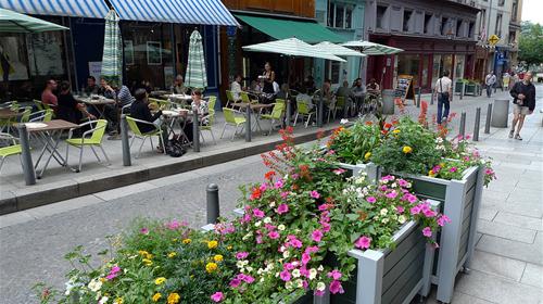 Cafes