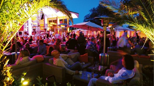 Bars & Nightlife