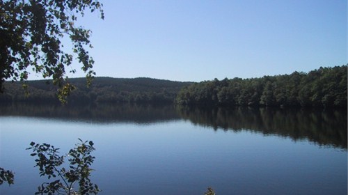 Natur