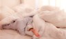 sleeping