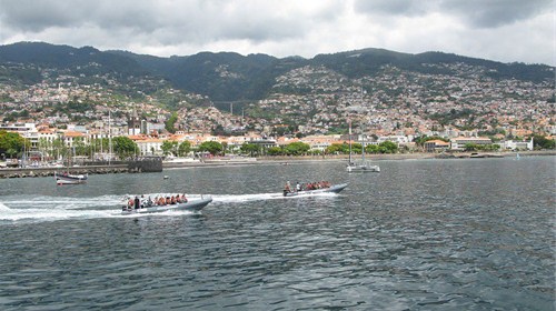 The Island