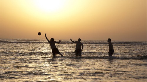 Beach Life