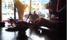 cafes