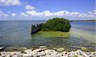 beaches-and-parks