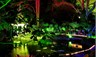 barsandnightlife