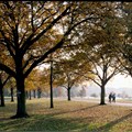 Hyde Park