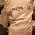 Molekylverkstan