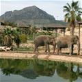 Terra Natura
