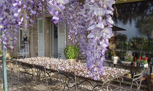 Provence