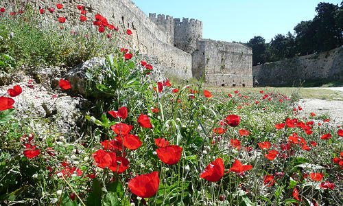 Rhodos