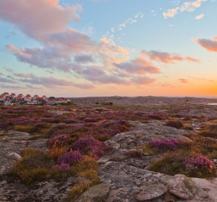 Sweden Travel Guide