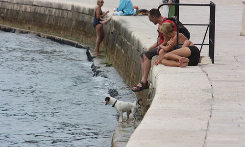 Zadar