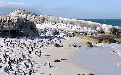 Simonstown