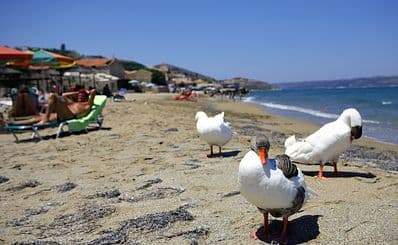 Almirida and Kalives