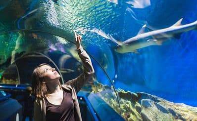 Aquarium of Guadeloupe
