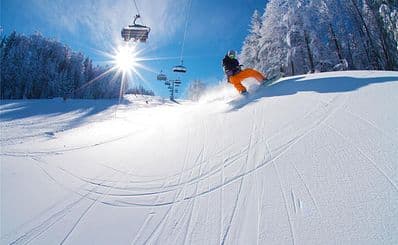Winter Activities