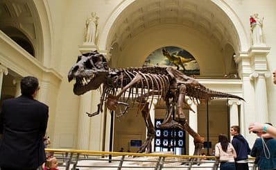 Field Museum