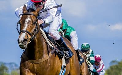 Exeter Racecourse
