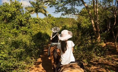 HorsePlay Punta Cana