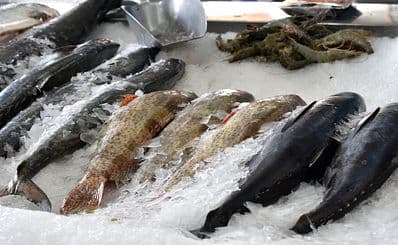 Le Marché du Poisson
