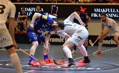 Växjö Vipers