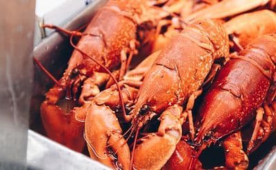 The Lobster Pot