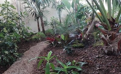 Regional Natural Science Museum: Tropical Hall