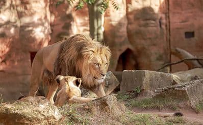 Barcelona Zoo