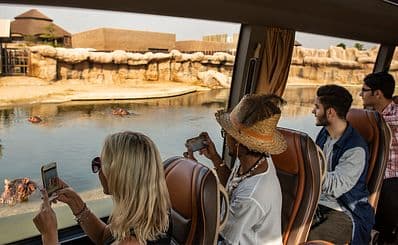 Dubai Safari Park
