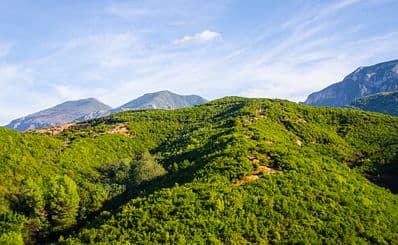 Mount Dajti