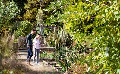 Botanical Garden
