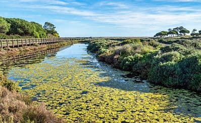 Naturpark Ria Formosa