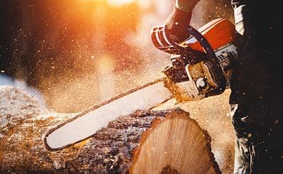 Paula Deen's Lumberjack Feud