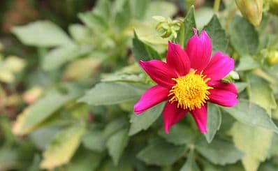 Exotic Gardens of Bouknadel