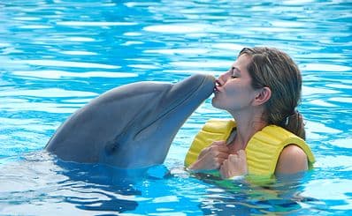 Mediterraneo Marine Park