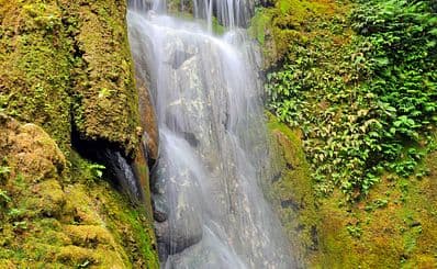 Evergreen Mele Cascades