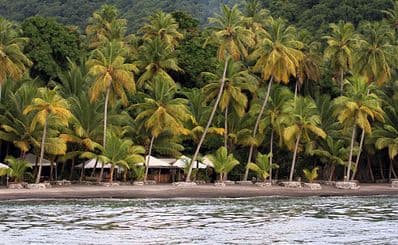 Anse Mamin Beach