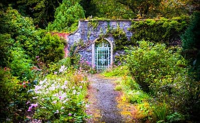 Garnish Island & Gardens
