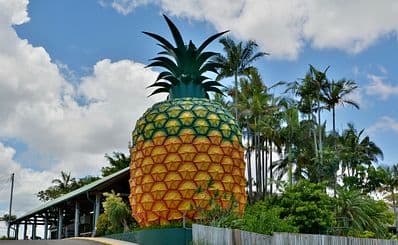 The Big Pineapple