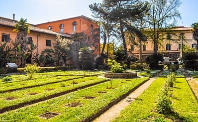 Botanical Garden & Museum