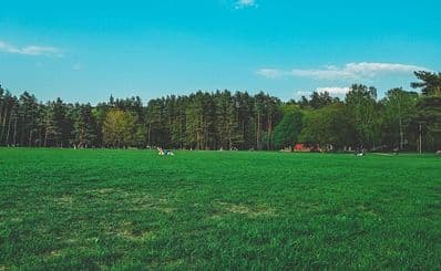 Kaunas Camping