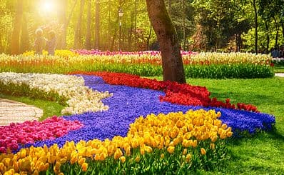 Emirgan Park